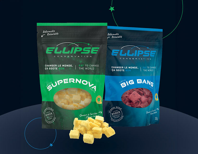 mikaelb_services_ellipse